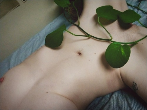 carnal-prince:I probably traumatized my houseplant for these...