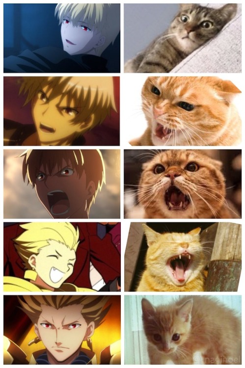 relatablepicturesofgilgamesh - (mod- I SAW THIS ON TWITTER AND...