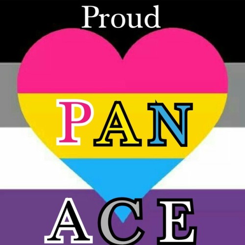delicatebasementperson - Panromantic asexual pride thing I made.
