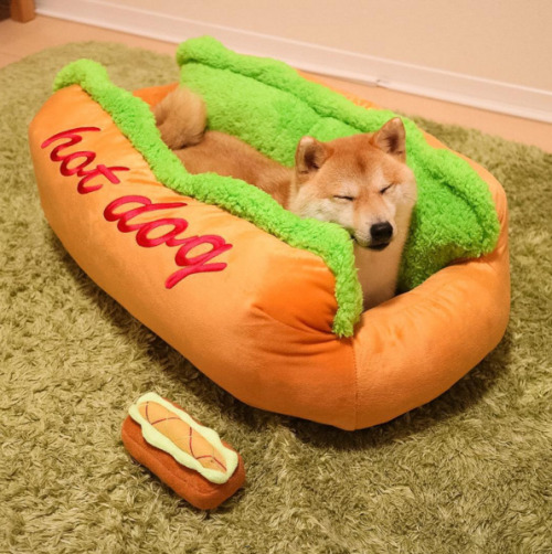 animals-lovers - Hot Dog Sofa! 
