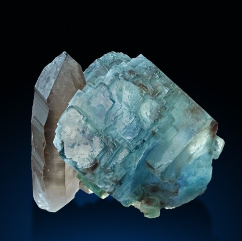 bijoux-et-mineraux:Smoky Quartz and Fluorite - Huanggang Mine,...