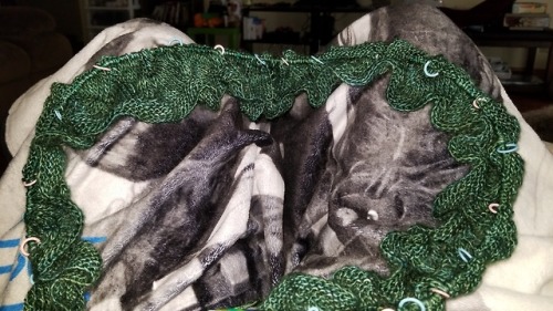 quirkykittenknits - Started a beautiful shawl called Siren Song...