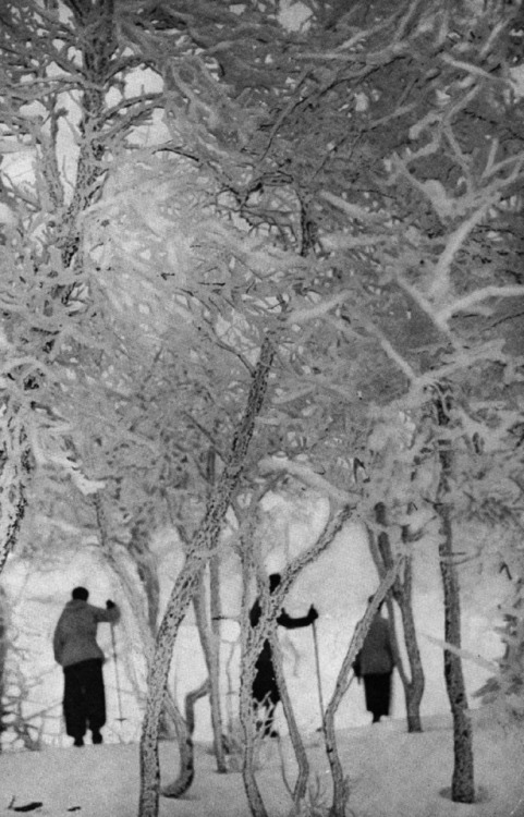 semioticapocalypse - Per Kjellen. Northern Winter. 1937[ - - SemAp...