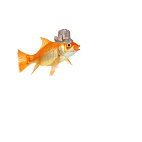 i-am-a-fish:Hey you guys! What do you think of my new hat? I like it a lot!The results are in!!...