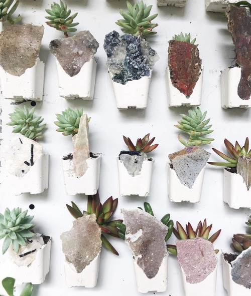 sosuperawesome:Magnetic Crystal Succulent Planters, by Emily...