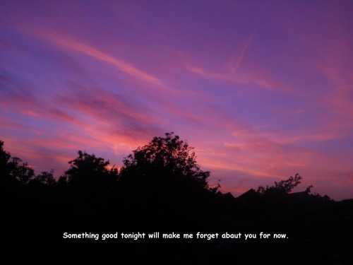hallod-e - “Something good tonight will make me forget...