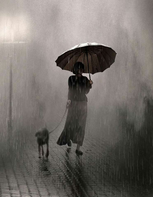 joeinct - Raining on Two (Dog Walk), Photo by Saul Leiter, 1957