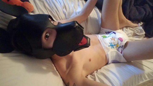 dbcayden - I just wanna be a little puppy today…and not an...