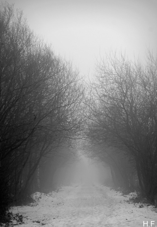 The mist beckons…