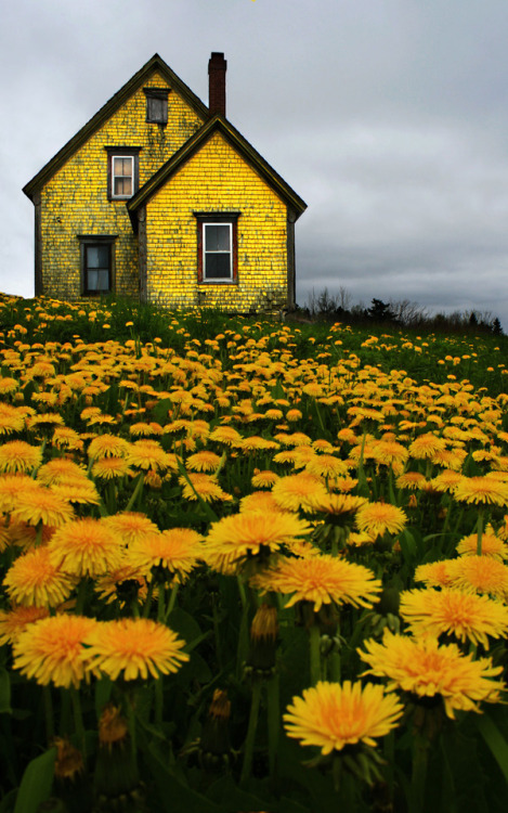 abandonedandurbex - Abandoned Yellow House in Nova Scotia. Photo...