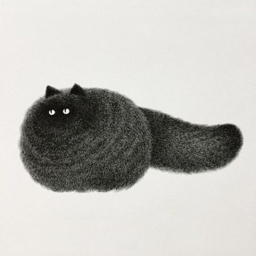artisticmoods:A selection of very, very fluffy cats by...