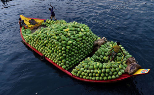 troposphera - Bangladeshi boatmen carry watermelons on the...