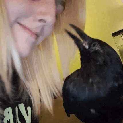psy-faerie - etthereal - Crow kisses 
