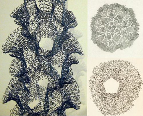 myampgoesto11 - Crocheted wire sculptures by Ruth Asawa