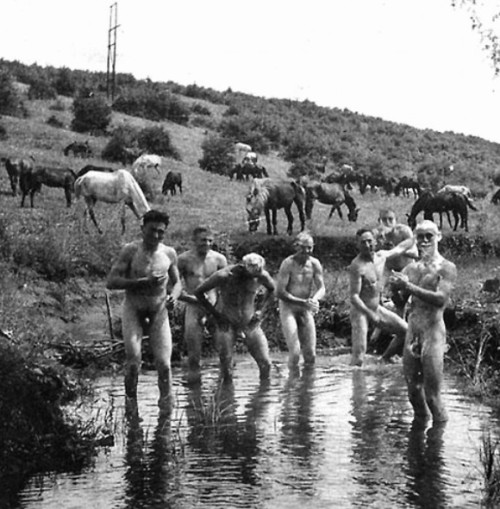 vintagemusclemen - I wonder if the horses got baths, too.