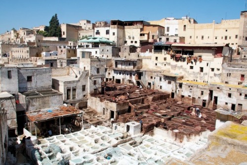breathtakingdestinations:Fez - Morocco (by eatswords) 