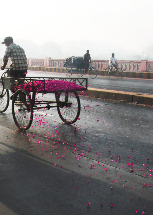 everlytrue:A tricycle driver in Ahmedabad, India was hired to...