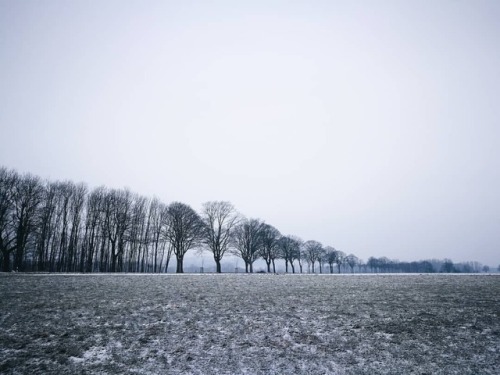 morgenrothe - #march #2018 #winter #landscape #nature #trees...