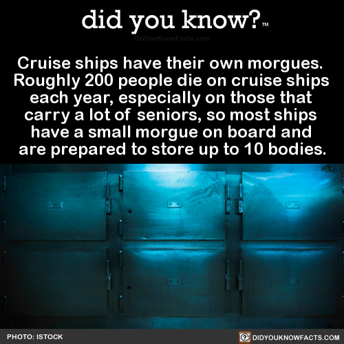 cruise-ships-have-their-own-morgues-roughly-200