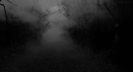 THE DARK FOREST
Come and visit us.
Follow the path.
Where does it lead?
Deep into a forest.
Down a dark road.
Ignore the moans.
They are only animals.
Howls of a pack of wild dogs.
They love people.
It’s safe for you.
Don’t look back.
Face...