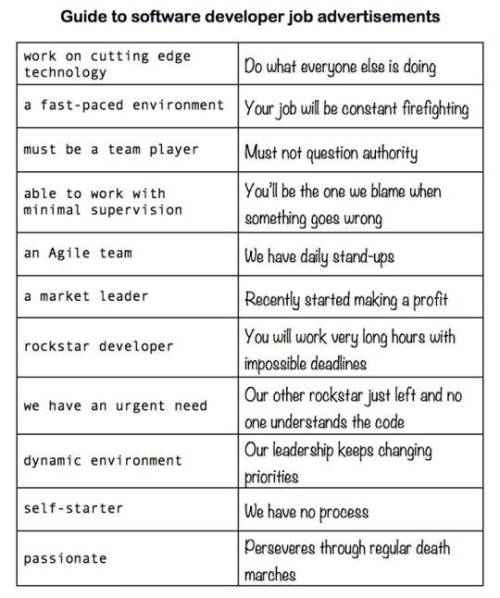programmerhumour - Guide to Software Engineering Job Posts