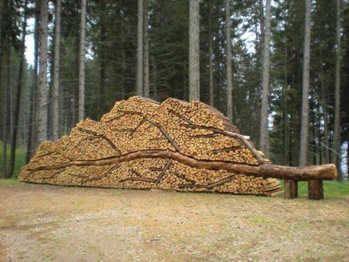 inspirationfeed - Nice woodpile http - //ift.tt/1NfPDmY