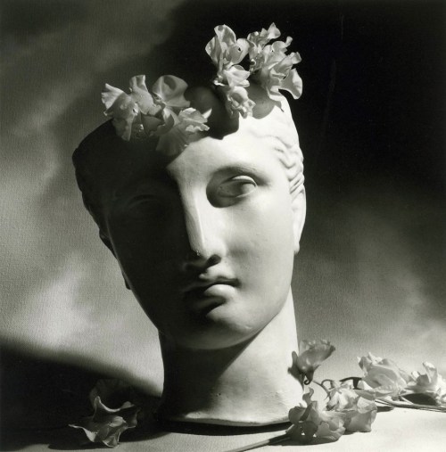 serafino-finasero - Horst P. Horst, Classical Head With Flowers,...