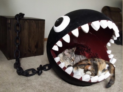 kassidoubledd - isquirtmilkfrommyeye - A Chain Chomp cat bed...