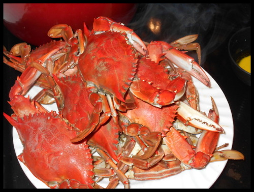 gentleman-jerry - Some cooked blue crabs!