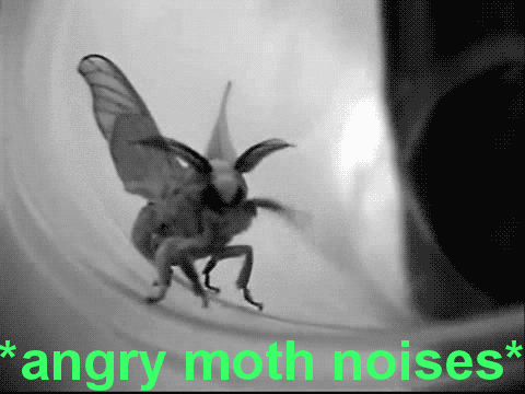 lunian - This is itFrustrated and mad Hawkmoth is my new aesthetic