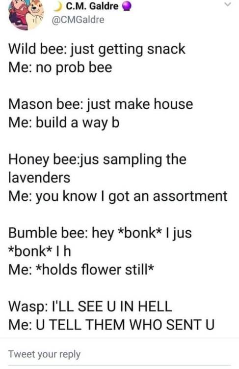 disastergeek - whitepeopletwitter - Bees are friends. Wasps are...