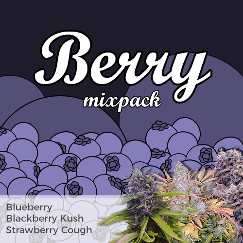 weedallover:Berry Mixpack