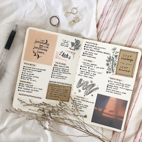 officiallystudying - a very peachy spread i’m currently very...
