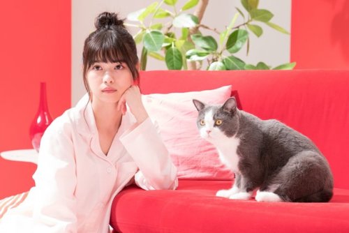 nichijounogi46 - Love Nyaa Love Cat