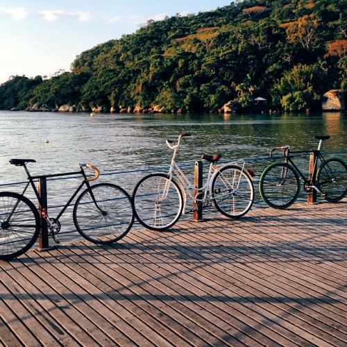 bicicletas on Tumblr