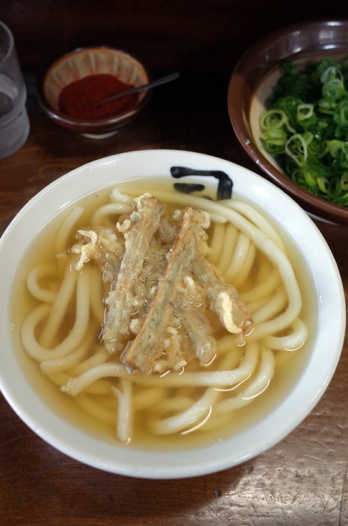shingchang - 万太郎.net - 夜は「麺道はなもこし」からの「そふ珈琲」。昼は「かねいしうどん」。