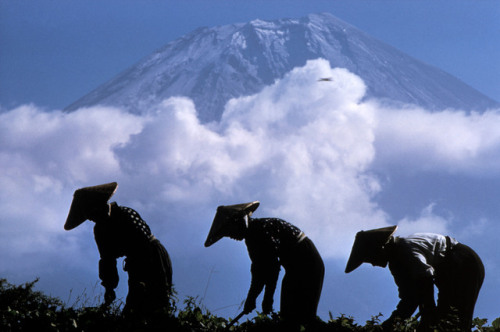 zoebalthus - Five Lakes, Mount Fuji, Japan 1961 © Burt Glinn