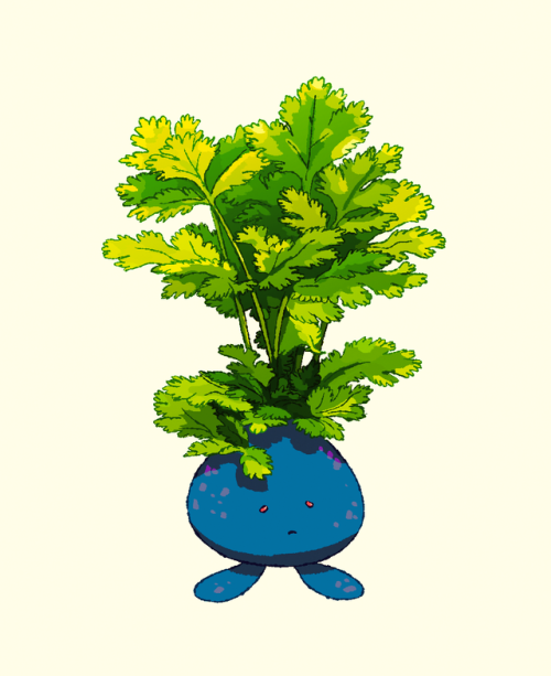 danieljpermutt - Little odd chap, with coriander for leaves.Grab...