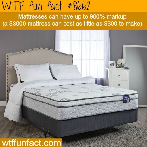 wtf-fun-factss - Why mattresses cost so much money - WTF fun facts