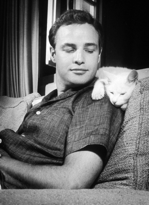 wehadfacesthen - Marlon Brando and his cat, c.1951