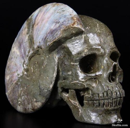 mineralists - Huge Carved Ammonite Fossil Skull