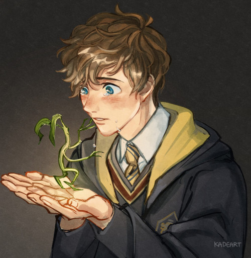 kadeart - Young Newt and Bowtruckle