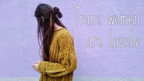 realtransfacts - Trans women are wonderful(img source)