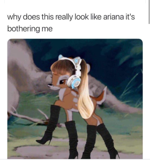 1-ofthecoolkidzz - totalariana - This is the funniest thing I’ve...
