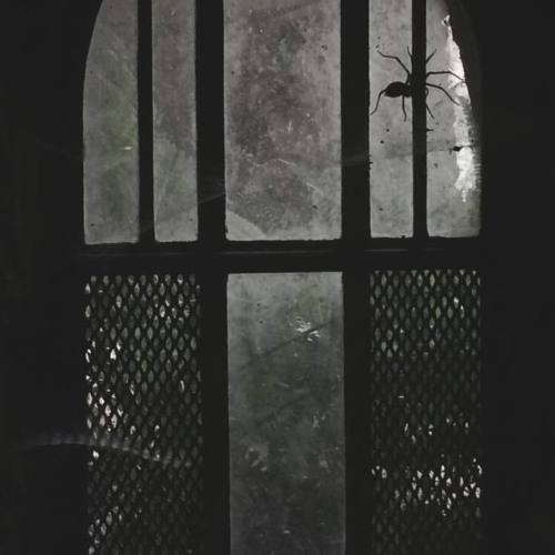 xtoxictears - spookyloop - Some of my fav pics from the time my...