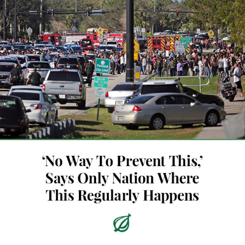 theonion:PARKLAND, FL—In the hours following a violent rampage...