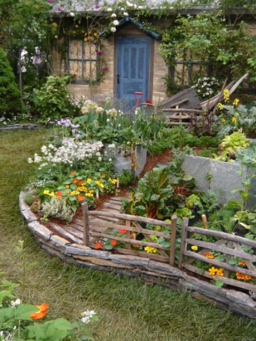 vegetable garden on Tumblr