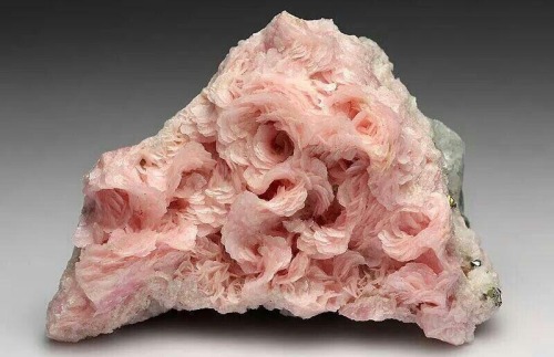 fruiht:rhodochrosite rosettes on quartz