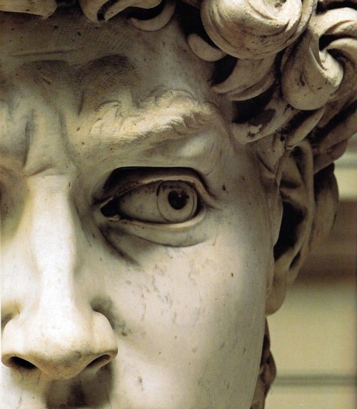 ghostlywriterr - Details of Michelangelo’s masterpiece “David”...