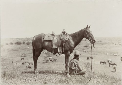 texasbohemia - Texas Panhandle, 1910. Photo by Erwin Smith.